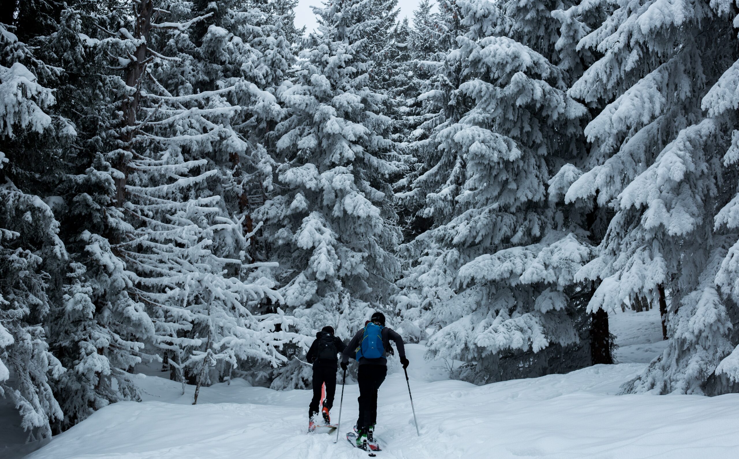 downhill skiing